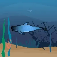 Etherfishing