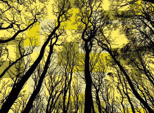 Item #98452652739139728385833177139880784176422420203299536309471942775611727020033 Media