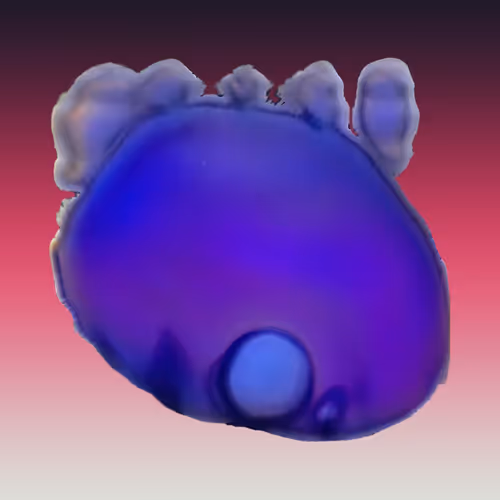 Item #52888081820294500938661787159235902001470944657624087883846474923776113901569 Media