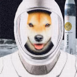 one giant leap for Dogekind