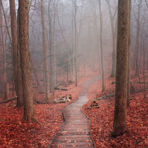 Fall Diaries CIhymdgfcp