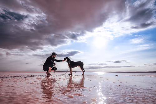 Item #103012301657456598627464593711191492996341926608798375780323323152701386129409 Media