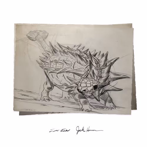 Item #22582927822880265950669941219355019494534003366966592492782895246769477648385 Media