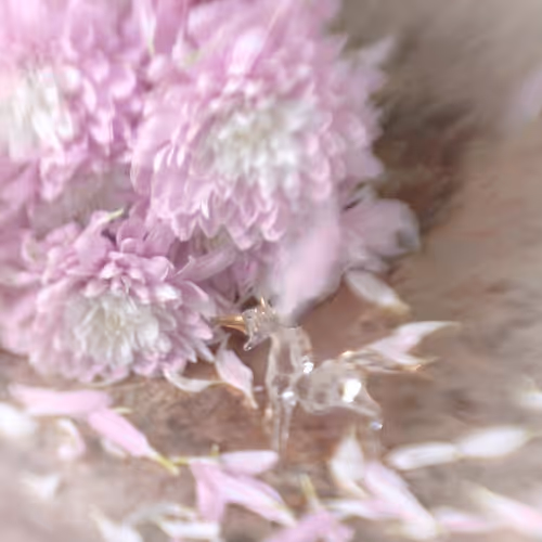 Unicorn Petals