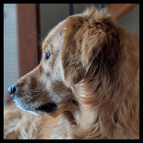 Item #106495276592435919470568425369488009874844936823784433162656833192957640179713 Media