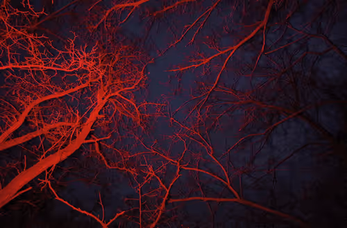 Item #65727344591356369199743943126527535922219131685413578878860768151211937366017 Media