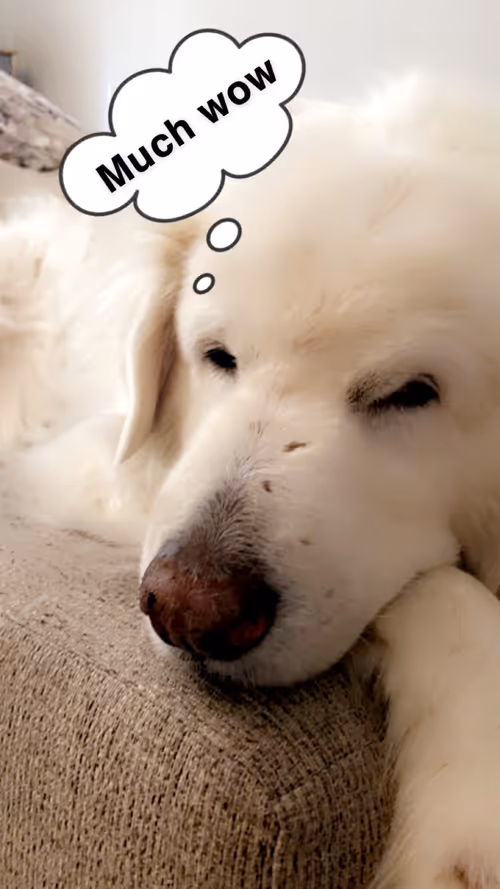 Item #107391124291737915079385019714928946076570633667249794579430759577561560252417 Media