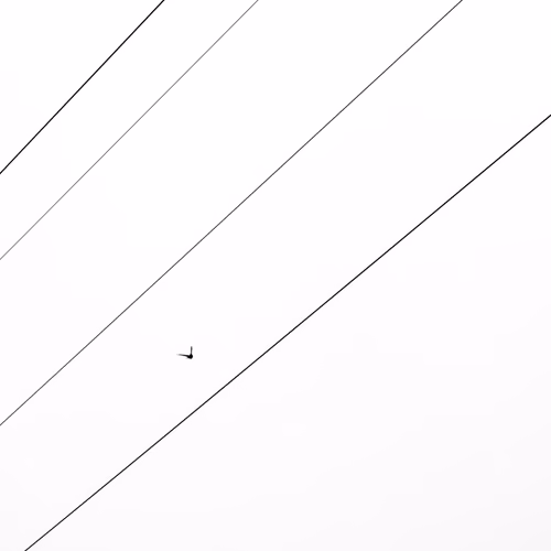 Between the lines