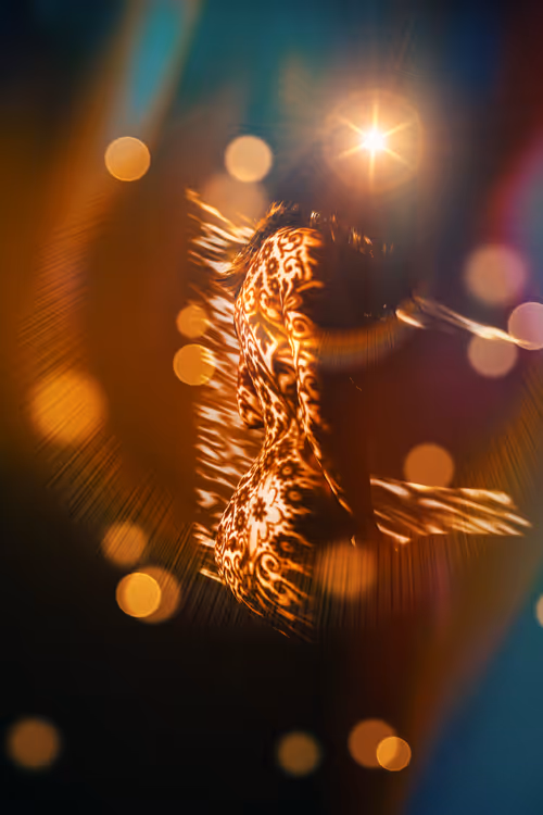 Item #40498021365110625873163859620955492987361950717153146364459205446344397291521 Media