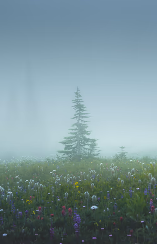 Item #39071023685345521589531013450918722216572370939070752972983331692704318881793 Media