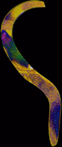 Item #25134024236616184979521667367921431367203659848766423059433089144839466909796 Media