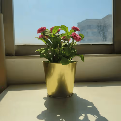 Untitled Collection #88601627