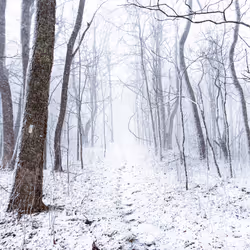 27268559498061748325784621046965527840934976554079147599746578490247885094913