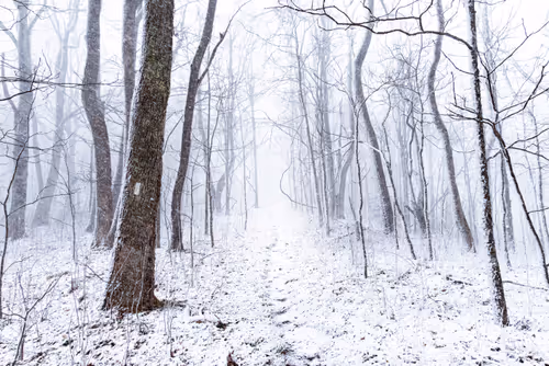 Item #27268559498061748325784621046965527840934976554079147599746578490247885094913 Media