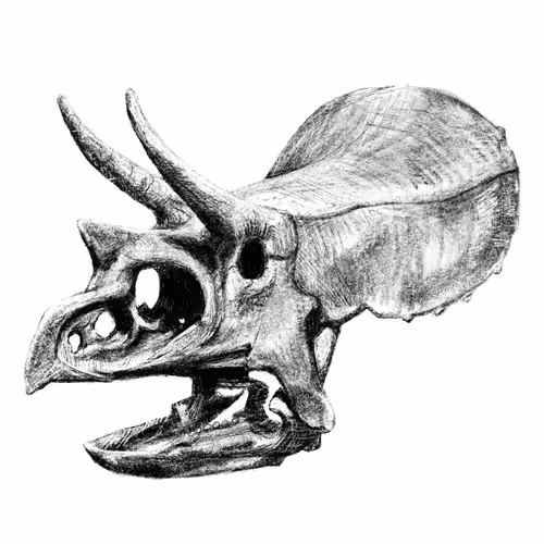 Scribbleskulls