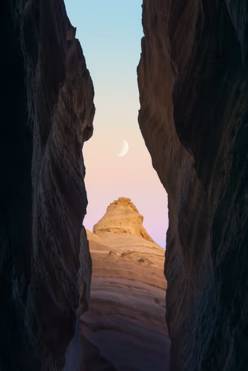 Item #39071023685345521589531013450918722216572370939070752972983331698201877020673 Media