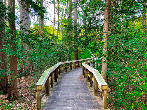 Living Your Most Static Life