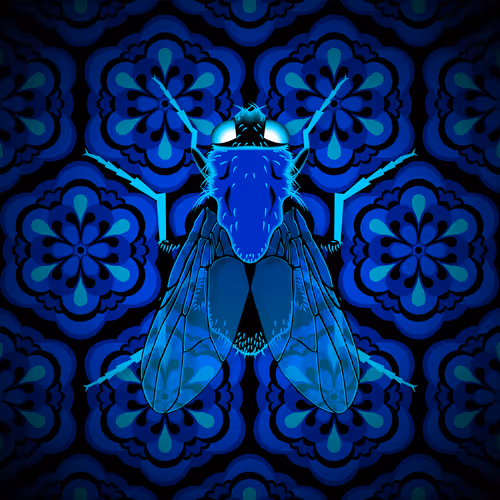 To Be A Fly On The Wall #85