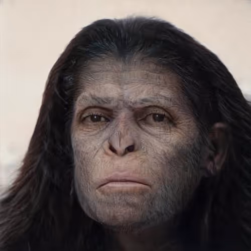 107453803328846220168752969032934446920664070849329610943153639605876278951937