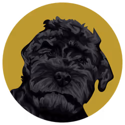 54766349128176429303044182404049584425310907481653304317570413969415239368705