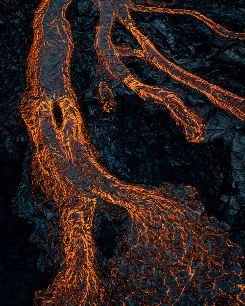 Item #71348397378810690825618428912408306798479722983811327082816877747681982676993 Media