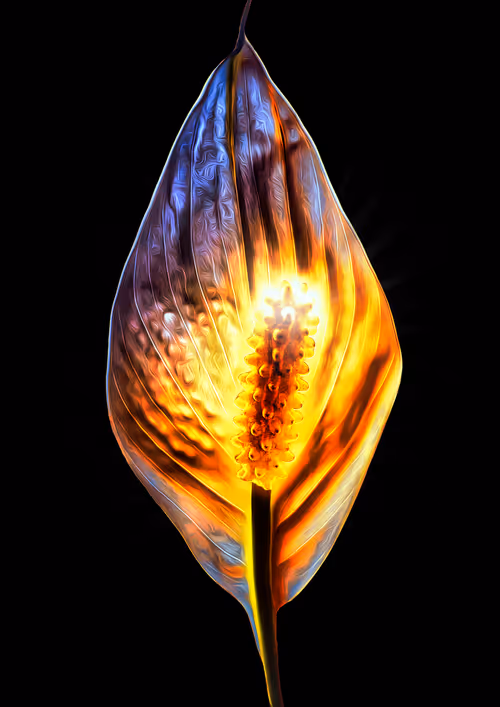 Item #39579845202103003613433969065529984939294887442875588777262424512225572028417 Media