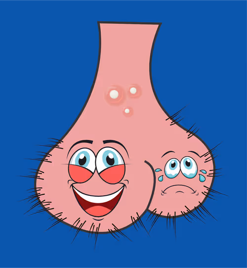 Item #22793047471806318065020766672709763262679883798276267629942526392426666393601 Media