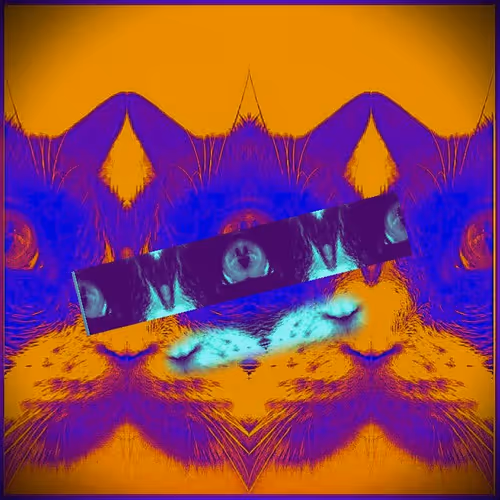 Item #62224154844929677022393842232947945299621837358898658373332336526082569142273 Media