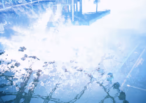 Item #42626720449793049245731240582970290857527864811431423741856946907189971255297 Media