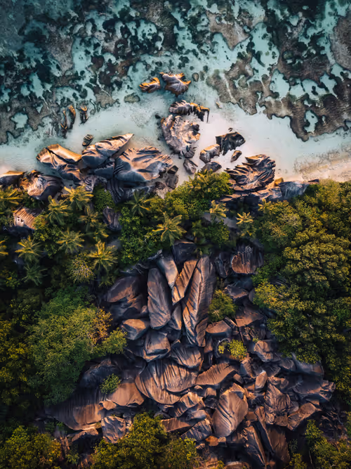 Item #83756445359116330923014153310908054300453681786561480650480241474288866033665 Media