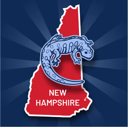 Item #71217782960003599958885984908879655312280558429090599128576275649289647030273 Media