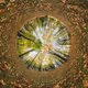 Stereographical