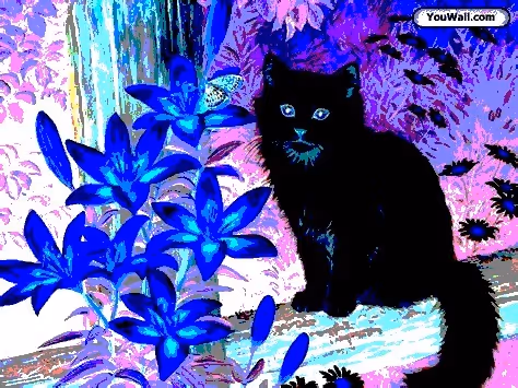 Item #23538819986925566434507765811444276093104658907602947149672917350404509925377 Media