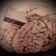 15219567333019189452260381489533489918553476977963724356760431626686235148289