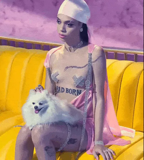 Item #6631362002512423388311392199166238765840296653248334229457094477924540612609 Media