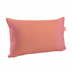 Pillow #15