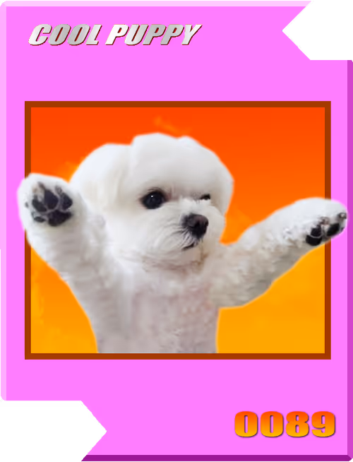 Item #21477548388787063266658748687199700189937005018840532589754440455791528902657 Media