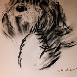 sketch 13