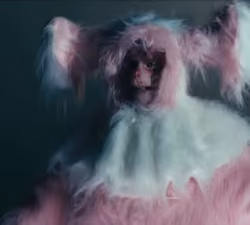 Super Pupsik
