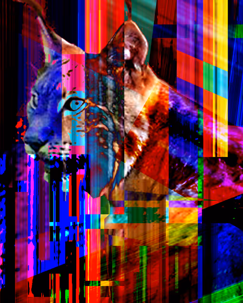 Item #48653799100012318570770790256965808514654415327640072251789586114347523899393 Media