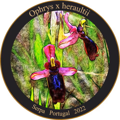 Item #83346383481971607988729477170446348570292642791419063456680174218771599196161 Media