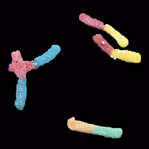 Item #48556336598773853126966970338152337587416243295272805509096404454622424465409 Media