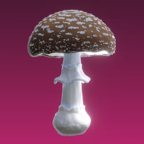 Item #95653877050150474555742155054455970472164202465768371638498214027261160456193 Media