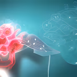 23257988316308240444286104197416324799649502812477909795597000801133067763713