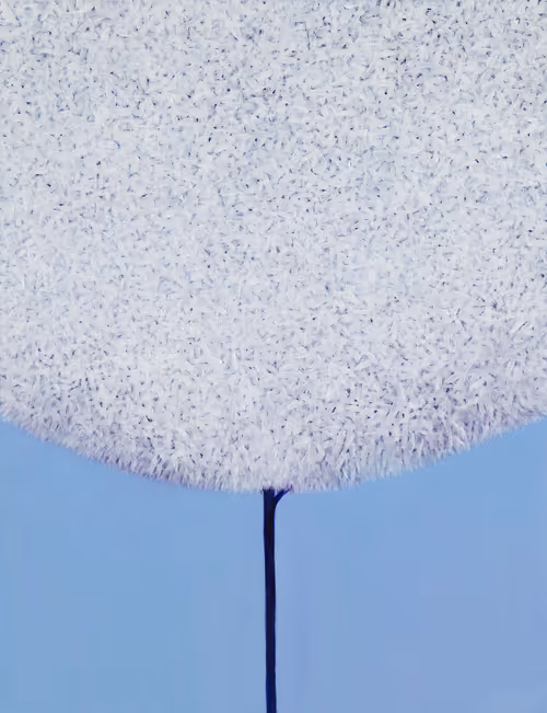 Item #16101337722085282298689115621610294664144615347996772178843194642936136466433 Media