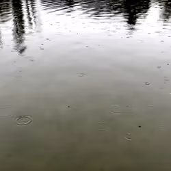 62175267119956854346768101641824727859604734918017792062945530270011879325697