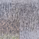 75321326535429216405595024380628438382118157863376450015467356686331263582209