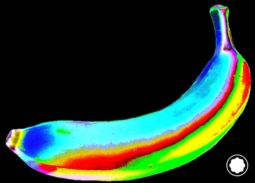 Item #83829751958947647846419200846164710754981145876737143323777831811810395684865 Media