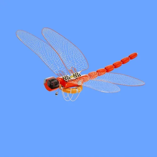 OBTI BOT DF #013