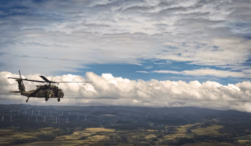 1000 Hour Companions